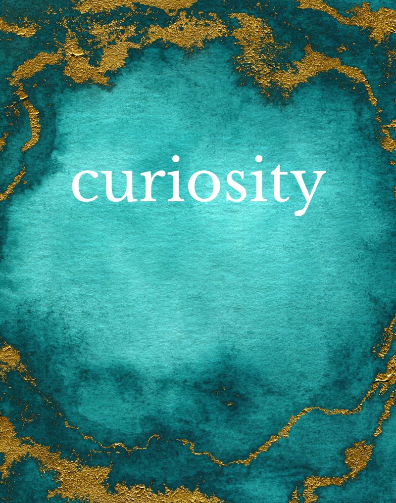 Our vision-Curiosity-Renooji and Divvya Nirula