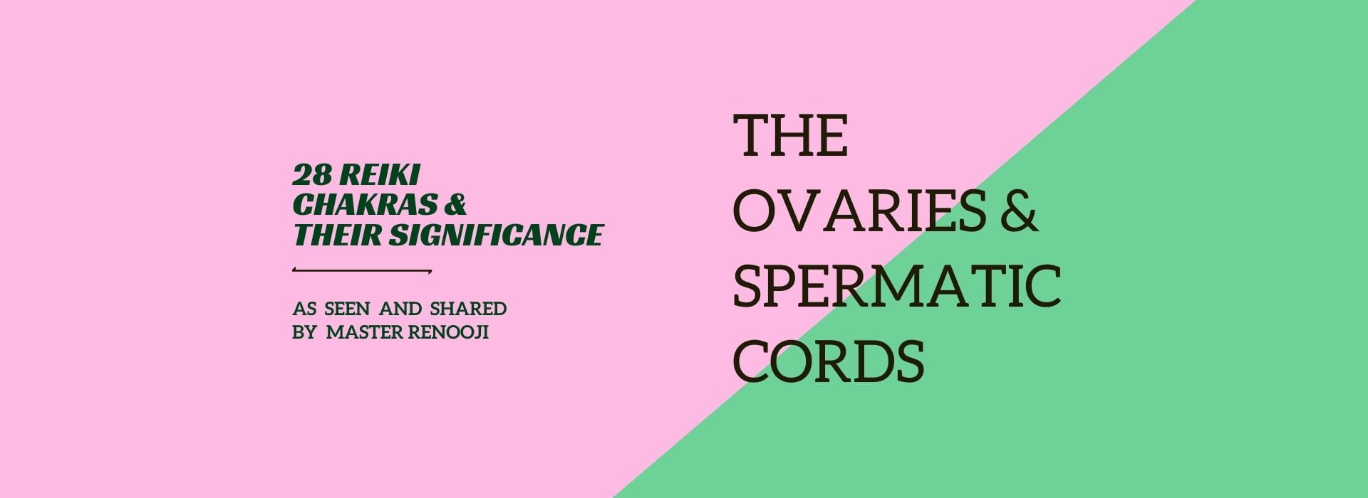 Reiki Chakras And Significance by Renooji_Ovaries and Spermatic Cords